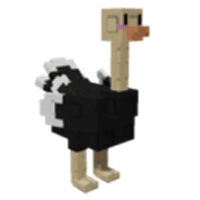Ostrich