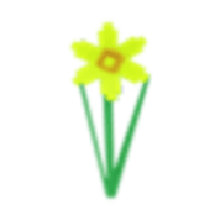 Daffodil